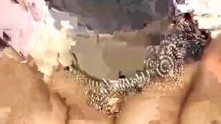 rani25