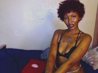 Kattiebirdie