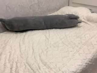MiCorbett