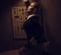 Ginevrafedez