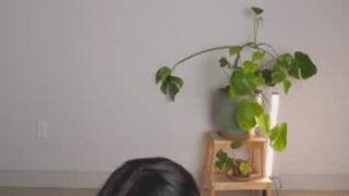 doubedeesarai