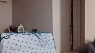 donnassecret